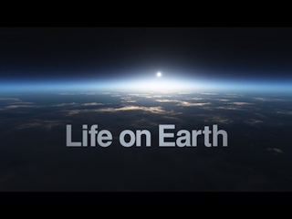 E.O. Wilson's Life on Earth